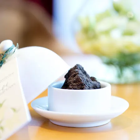 Vier Jahreszeiten Loipersdorf Fürstenfeld