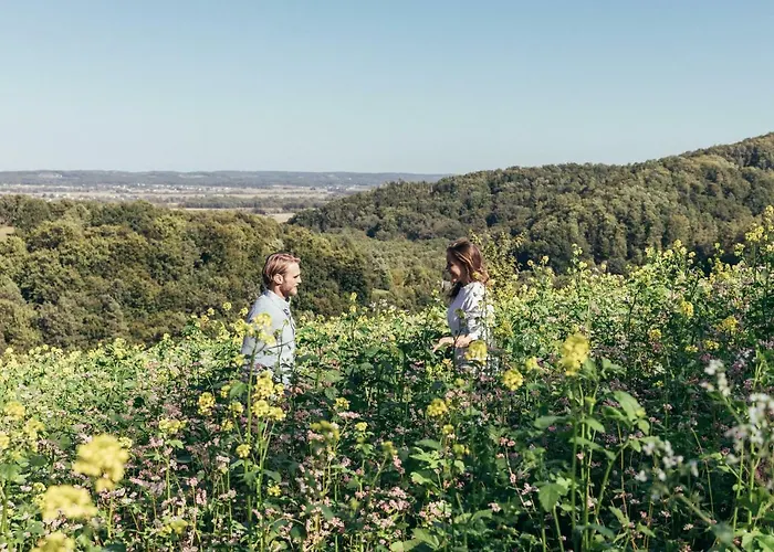 洛伊佩尔斯多夫四季酒店 4* Fürstenfeld